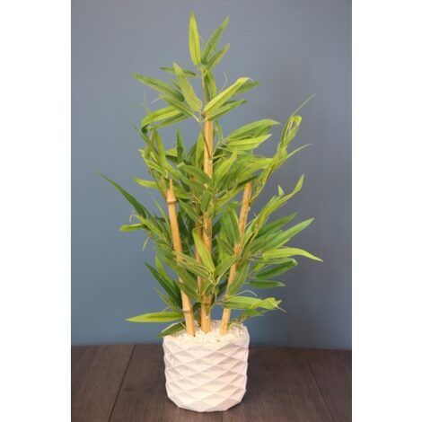 10912578895922-1.jpg 10912578895922-1.jpg